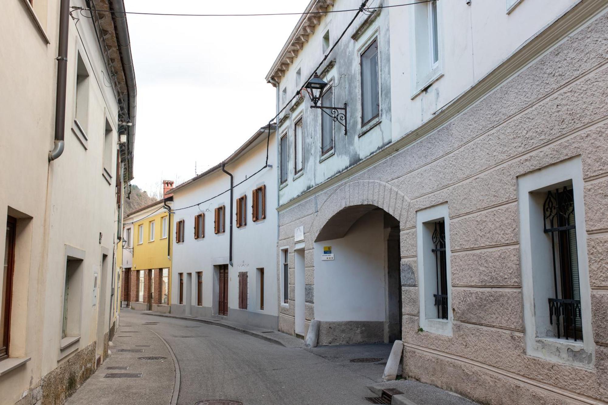 Oliver Street Apartment Vipava Exterior foto